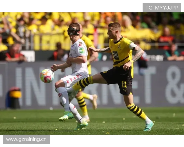 失望大黄蜂:多特蒙德的豪门梦碎,未来危机已近